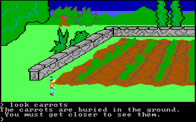King's Quest IBM PC/Compatibles Screenshot: A carrot patch.