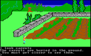 King's Quest for IBM PC/Compatibles - A carrot patch.
