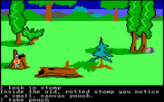 King's Quest for IBM PC/Compatibles - Items can be hidden anywhere.