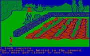 King's Quest for IBM PC/Compatibles - Examining a carrot patch.