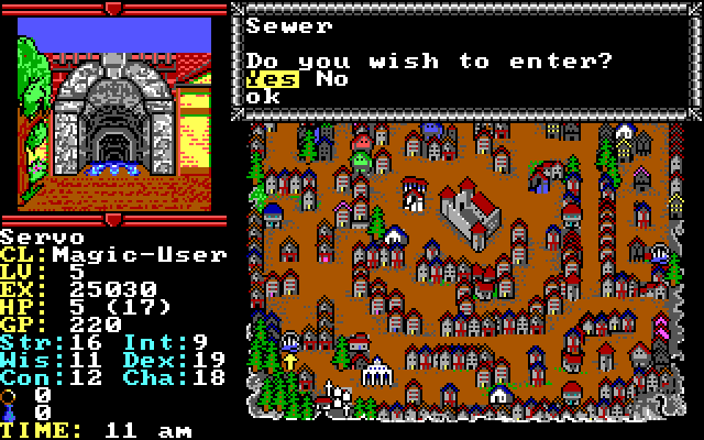 Hillsfar IBM PC/Compatibles Screenshot: Enter the sewer?
