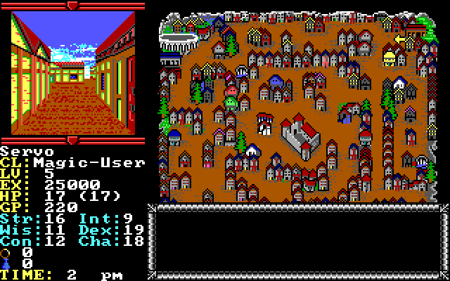 Hillsfar IBM PC/Compatibles Screenshot: City view.