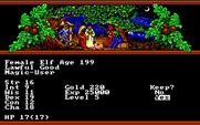 Hillsfar for IBM PC/Compatibles - Creating a new character.