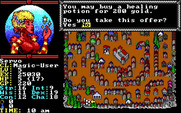 Hillsfar for IBM PC/Compatibles - Buy a healing potion?