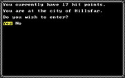 Hillsfar for IBM PC/Compatibles - Do you wish to enter?