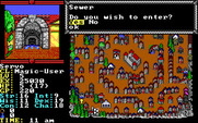 Hillsfar for IBM PC/Compatibles - Enter the sewer?