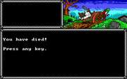 Hillsfar for IBM PC/Compatibles - Game over.
