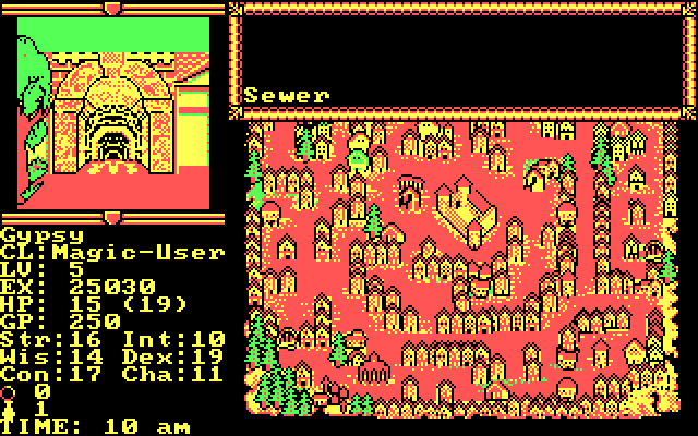 Hillsfar IBM PC/Compatibles Screenshot: Ready to enter the sewer?