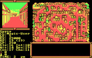 Hillsfar for IBM PC/Compatibles - City view.