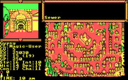 Hillsfar for IBM PC/Compatibles - Ready to enter the sewer?
