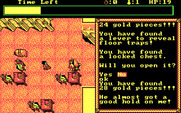 Hillsfar for IBM PC/Compatibles - Almost out of time, and a guard found me!