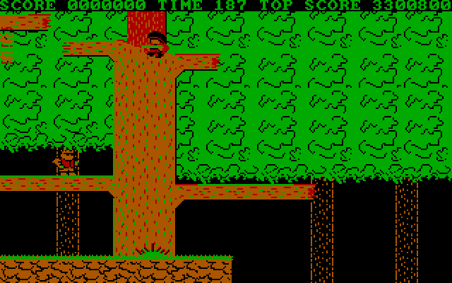 Bionic Commando IBM PC/Compatibles Screenshot: Where can I go from here?