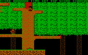 Bionic Commando for IBM PC/Compatibles - Where can I go from here?