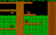 Bionic Commando for IBM PC/Compatibles - Lookout, a few enemies here!