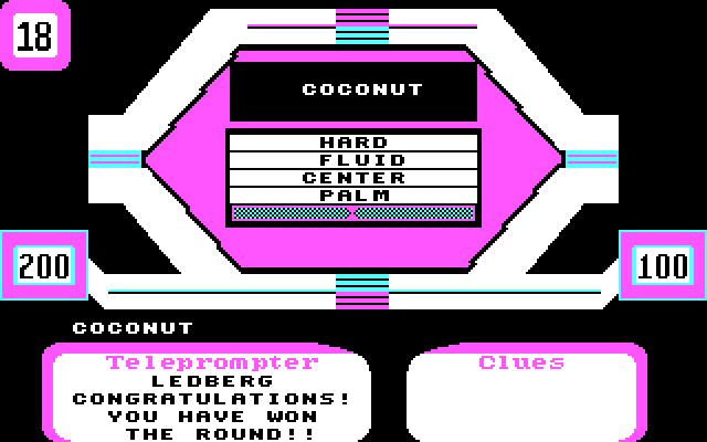 Super Password IBM PC/Compatibles Screenshot: A winning round!