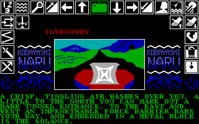 Kobyashi Naru IBM PC/Compatibles Screenshot: Hmm, what have I found here?