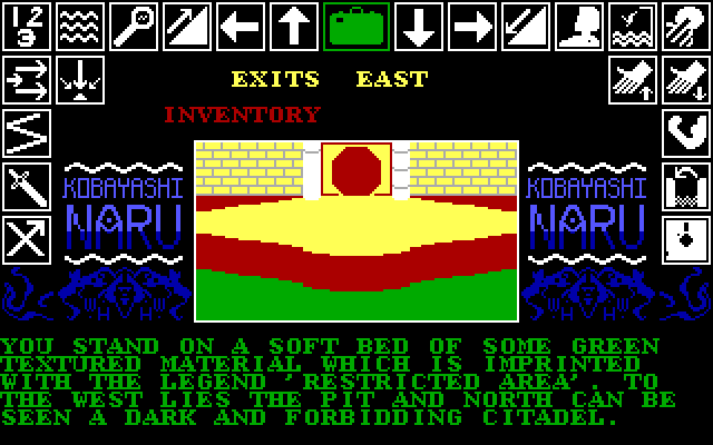 Kobyashi Naru IBM PC/Compatibles Screenshot: A restricted area?