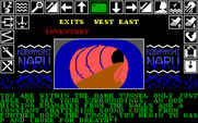 Kobyashi Naru for IBM PC/Compatibles - This tunnel doesn't seem very safe...