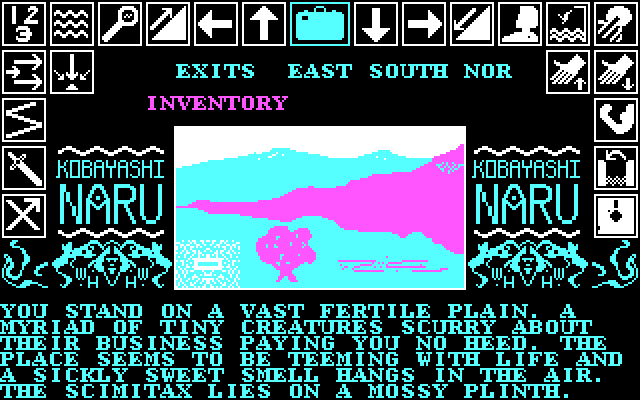 Kobyashi Naru IBM PC/Compatibles Screenshot: Starting out on a fertile plain...