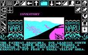 Kobyashi Naru for IBM PC/Compatibles - Following a path.