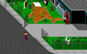 Paperboy 2 for IBM PC/Compatibles - There are a variety of friendly and unfriendly houses.