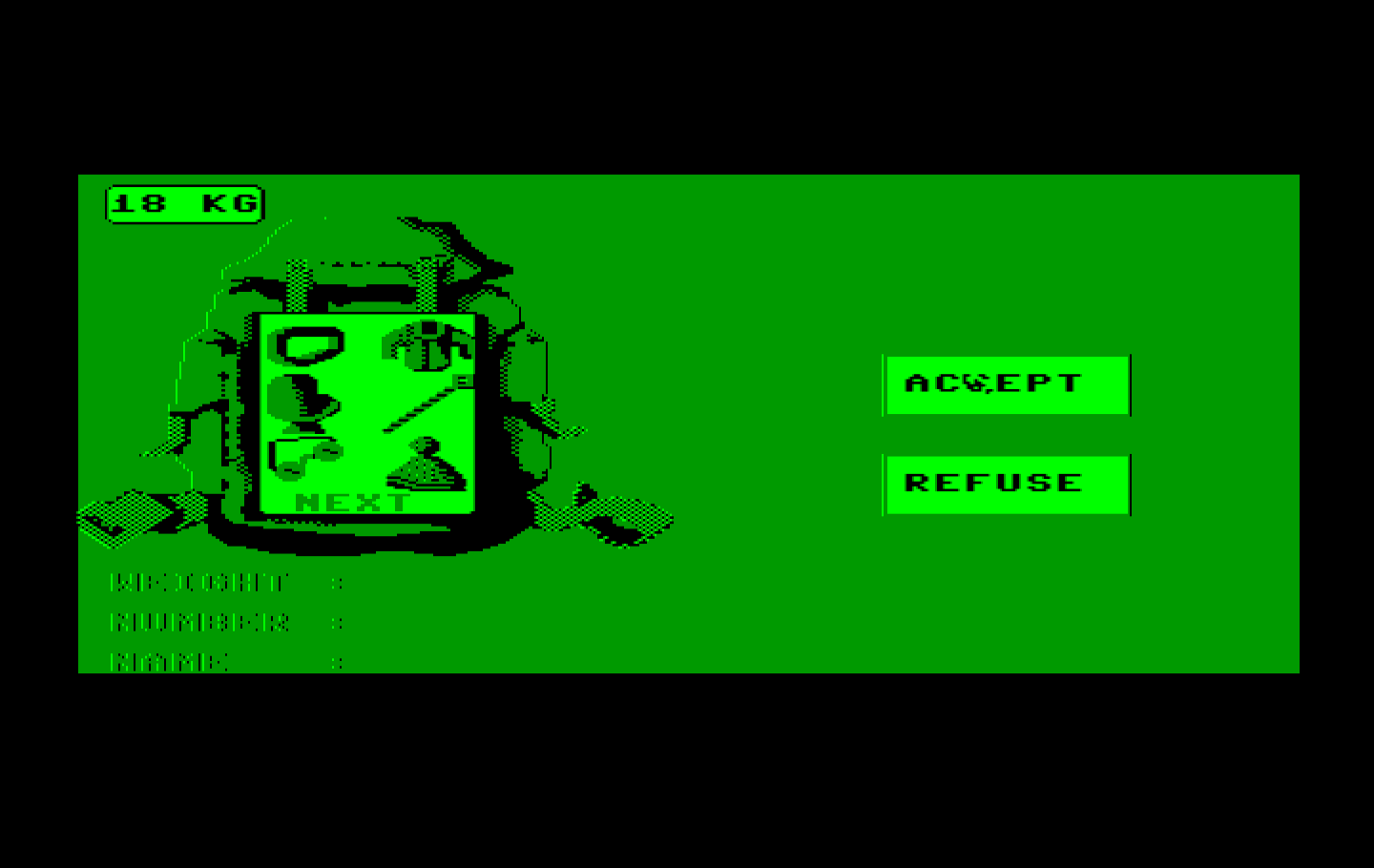 Final Assault IBM PC/Compatibles Screenshot: Accept this backpack setup?