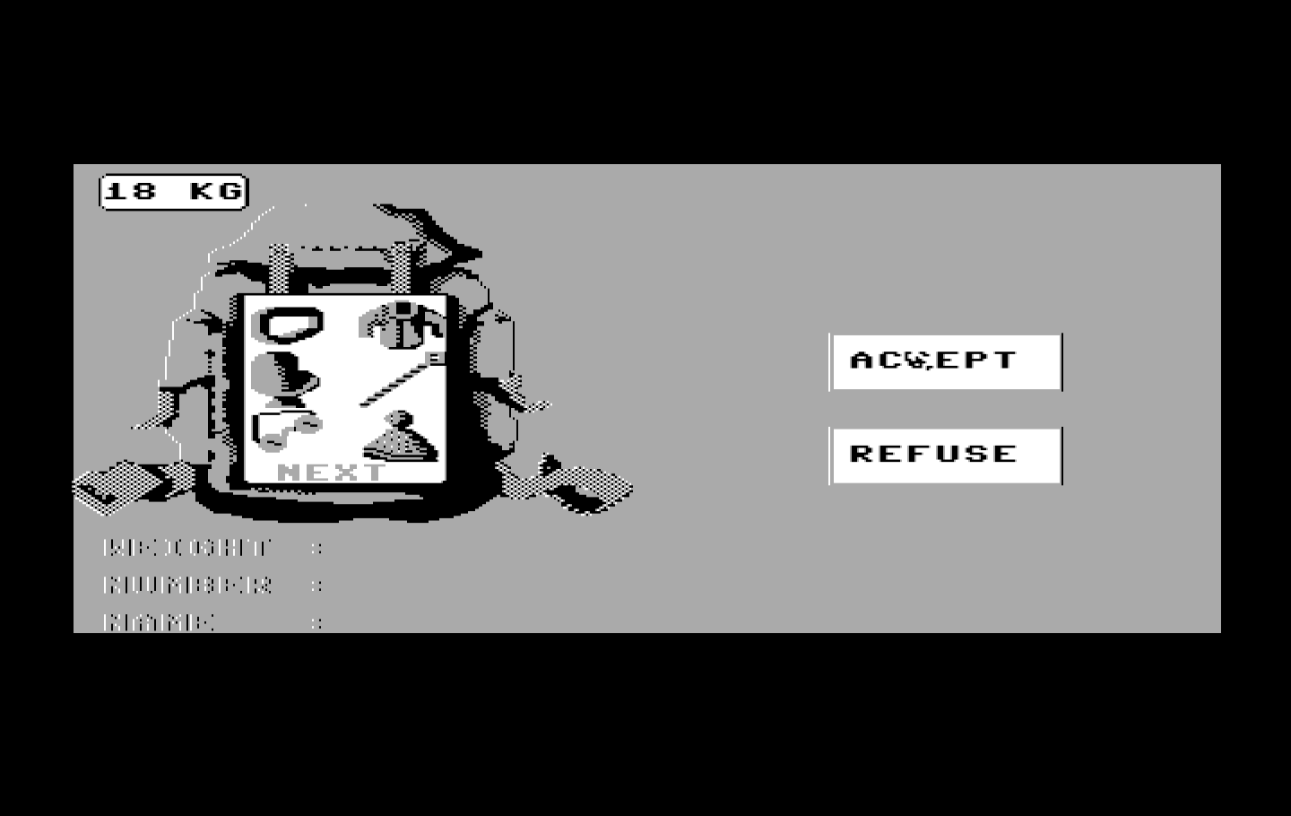 Final Assault IBM PC/Compatibles Screenshot: Accept this backpack setup?