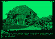 Jinxter for Amstrad PCW - Flowers are everywhere here...