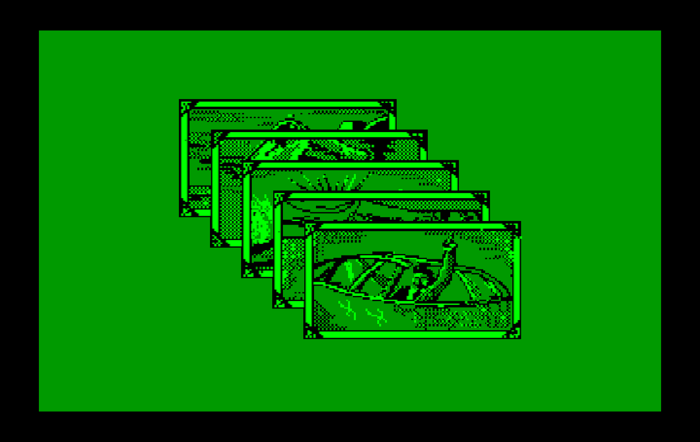 Ace of Aces IBM PC/Compatibles Screenshot: We're ready for takeoff!