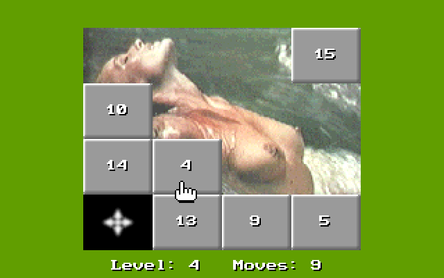 15 Move Hole Puzzle IBM PC/Compatibles Screenshot: Depending on the level of difficulty some pieces can't be moved.