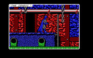 Batman: The Caped Crusader for IBM PC/Compatibles - Batman can climb some of the chains and poles.