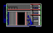 Batman: The Caped Crusader for IBM PC/Compatibles - Which way to go, up or down?