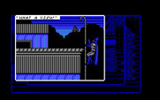 Batman: The Caped Crusader for IBM PC/Compatibles - What a view up here...