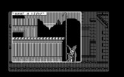 Batman: The Caped Crusader for IBM PC/Compatibles - What a view up here...