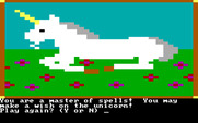 Magic Spells for IBM PC/Compatibles - I'm a master of spells! Try again?