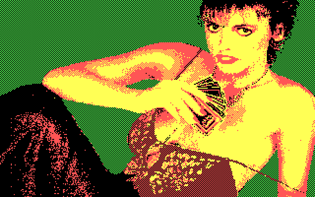 Strip Poker II Plus IBM PC/Compatibles Screenshot: Winning so far!