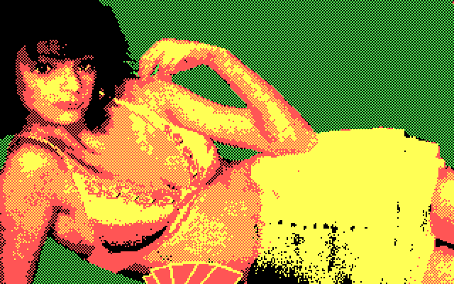 Strip Poker II Plus IBM PC/Compatibles Screenshot: First round won!