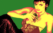 Strip Poker II Plus for IBM PC/Compatibles - Winning so far!