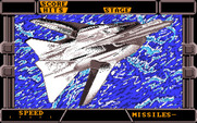 After Burner II for IBM PC/Compatibles - Introduction continued...