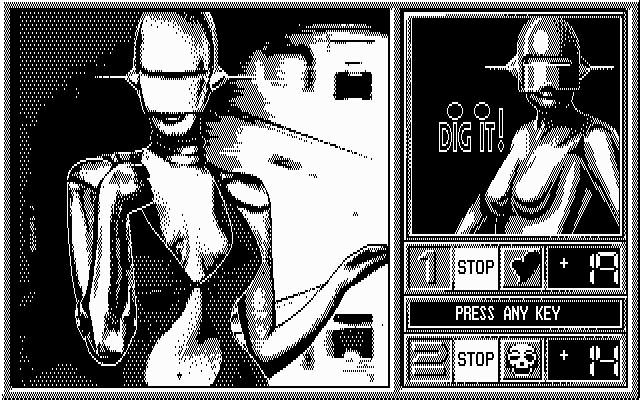 Blue Angel 69 IBM PC/Compatibles Screenshot: The complete image for round four.