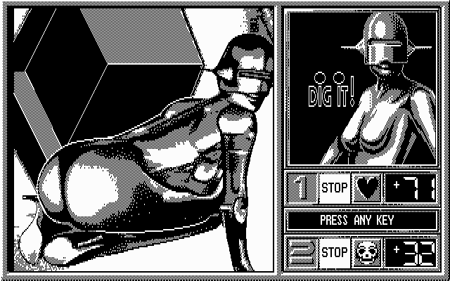Blue Angel 69 IBM PC/Compatibles Screenshot: Complete image for round 10; the images repeat now if you keep playing...