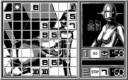 Blue Angel 69 for IBM PC/Compatibles - Only negative value tiles are left now...