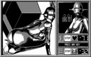 Blue Angel 69 for IBM PC/Compatibles - Complete image for round 10; the images repeat now if you keep playing...