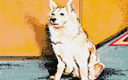 Twilight's Ransom for Atari ST - This dog isn't very friendly...