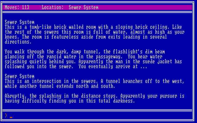 Twilight's Ransom IBM PC/Compatibles Screenshot: Someone is following me...