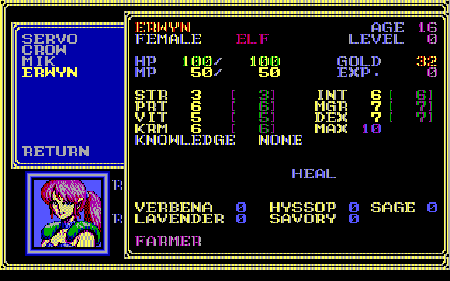 Sorcerian IBM PC/Compatibles Screenshot: One of the characters I've created so far...