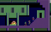 Sorcerian for IBM PC/Compatibles - This large toad doesn't want to leave with me...
