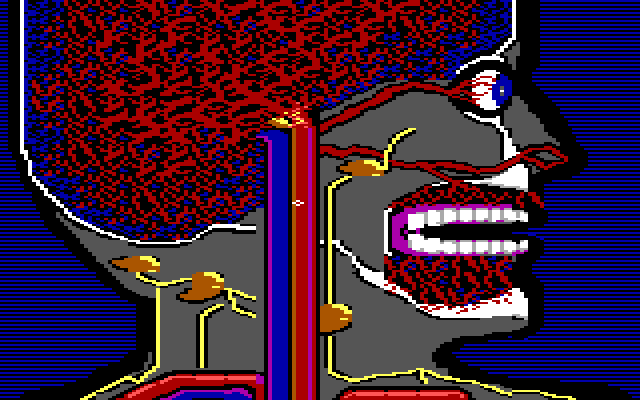 Microsurgeon IBM PC/Compatibles Screenshot: On the lookout for trouble...