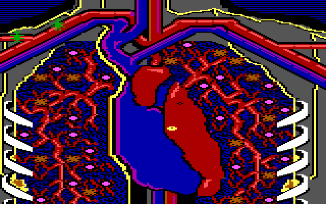 Microsurgeon IBM PC/Compatibles Screenshot: Watch out for rogue bacteria.