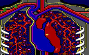 Microsurgeon for IBM PC/Compatibles - Watch out for rogue bacteria.